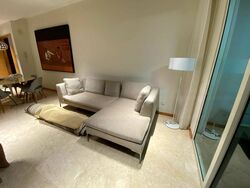 Nathan Place (D10), Condominium #426337461